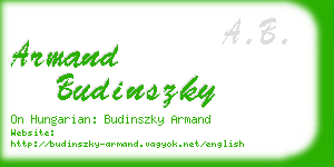 armand budinszky business card